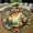 Deer1, variant on Circle Area Rug, Sun7 Washable Non-Slip Floor Carpet, Soft Rug for Living Room Bedroom Decor 24 Inch