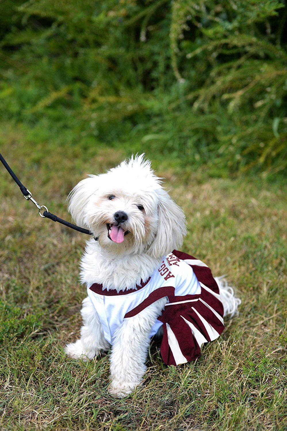 Pets First College Texas A&M Aggies Cheerleader, 3 Sizes Pet Dress Available. Licensed Dog Outfit