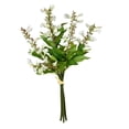 thumbnail image 1 of Vickerman VICK-FS190111 Vickerman 15 Pieds' Blanc Sage Bundle 2/Pk - FS190111, 1 of 3