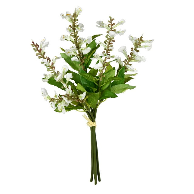 Vickerman VICK-FS190111 Vickerman 15 Pieds' Blanc Sage Bundle 2/Pk - FS190111