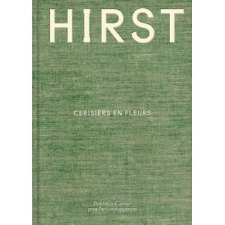 Damien Hirst: The Complete Psalm Paintings, (Hardcover) - Walmart.com