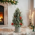 thumbnail image 4 of Christmas Frosted Tabletop Tree with Red Berries Elegant Holiday Centerpiece Decoration, 4 of 6