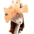 thumbnail image 3 of Hair Clip Fascinator Mesh: Fascinator Fascinator Fascinator Fascinator, 3 of 4