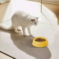 thumbnail image 4 of Btomtd Thickened Plastic Pet Bowls for Indoor Use, Non-Slip Dog Bowls and Cat Bowls, Non-Spill Food and Water Dishes for Pet Daily Meals, Yellow, 4 of 6
