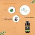 thumbnail image 3 of KRIAA Goodness Peppermint Essential Oil 10ml with Dropper, 3 of 6