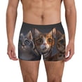thumbnail image 2 of KLL Wide Eyed Cartoon Cats Men's Cotton Boxer Briefs Underwear-Small, 2 of 7