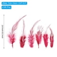thumbnail image 2 of Uxcell 2.8''-5.5'' Saddle Hackle Rooster Feather Bulk Natural Feathers Fluffy Craft Feathers 100 Pcs Burgundy, 2 of 6