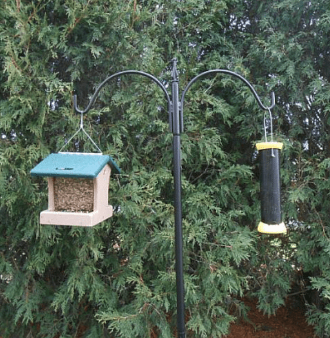 Birds Choice 2 Arm Complete Pole Package with Squirrel Baffle, Black