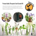 thumbnail image 3 of Aceite esencial de lavanda Natures-Star, 473 ml, grado terapéutico, 3 of 6