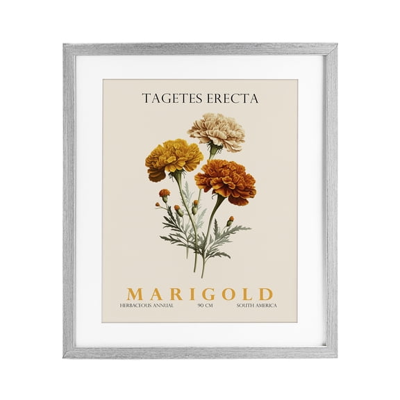 Stupell Industries Natural Marigold Bundle Gray Framed Print Under Glass, design by Christopher Giampietro