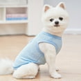 thumbnail image 4 of Puppy Embroidered Teddy Vest Summer Cute Dog Clothes Hollow Out Breathable Pomeranian Pullover Fashion Mesh Maltese T-Shirt Sky Blue XS, 4 of 5