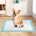 thumbnail image 2 of Gymax 36''x 24''(300 Counts) Dog Potty Training Pads Puppy Pee Pads w/ Quick-Drying, 2 of 9