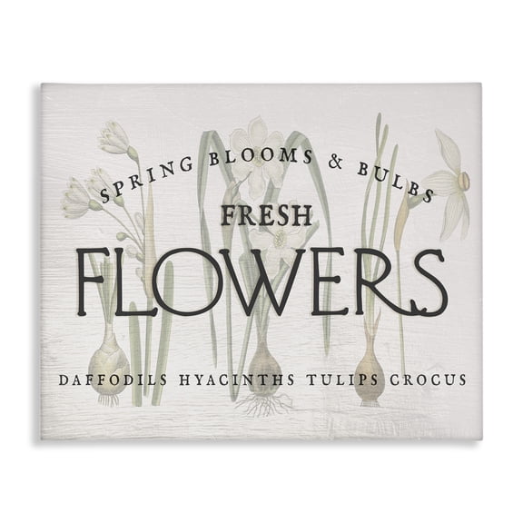 Stupell Industries Cottage Fresh Flowers Market Canvas Art, 20 x 16, by Ziwei Li