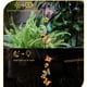 thumbnail image 3 of Luces Solares Estaca Mariposa Metal Impermeables para Jardín (estilo A), 3 of 5