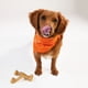 thumbnail image 3 of Paquete de Juguetes para Masticar Nylabone Estilo Gourmet para Perros Pequeños, 3 of 9