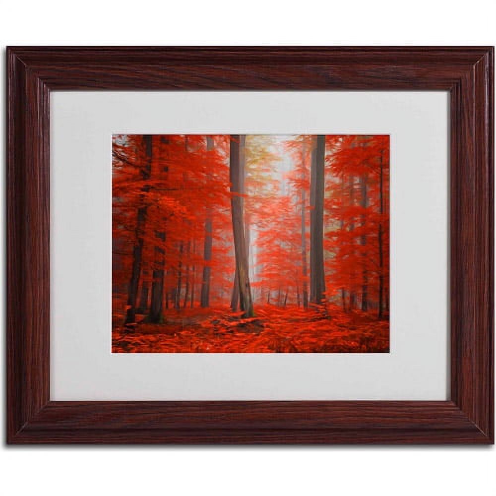 Trademark Fine Art "Speaking of Tongue" Canvas Art by Philippe Sainte-Laudy, Wood Frame