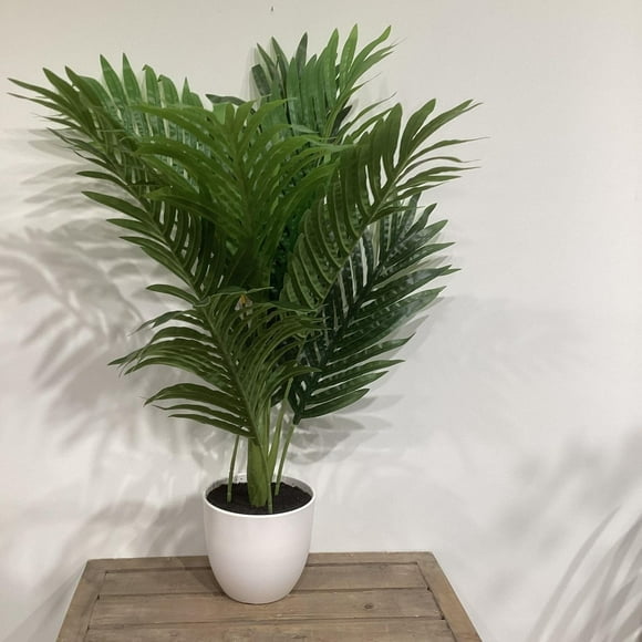 Palm Potted White