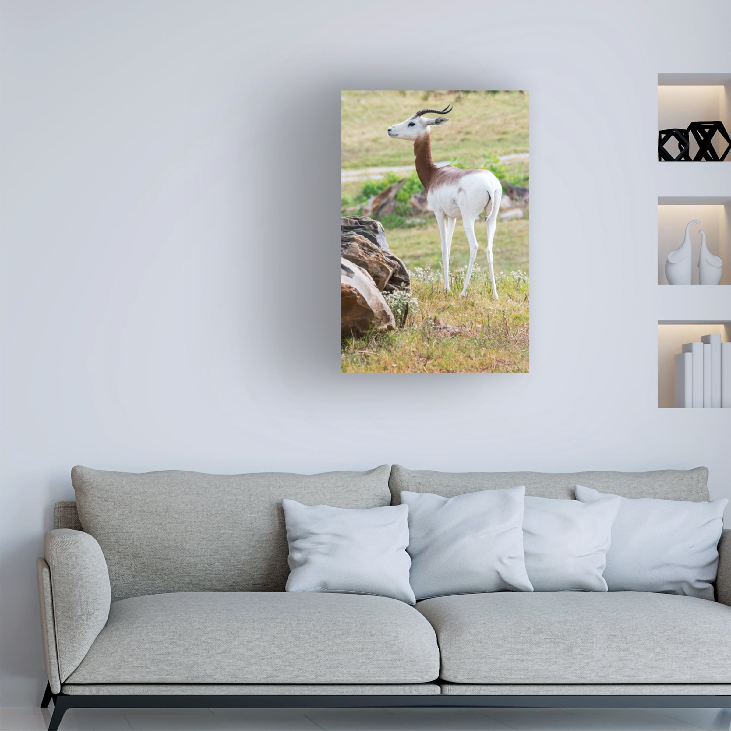 Robert Michaud 'Addra Gazelle 1' Canvas Art