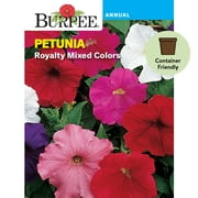 Burpee Royalty Mixed Colors Petunia Flower Seed, 1-Pack