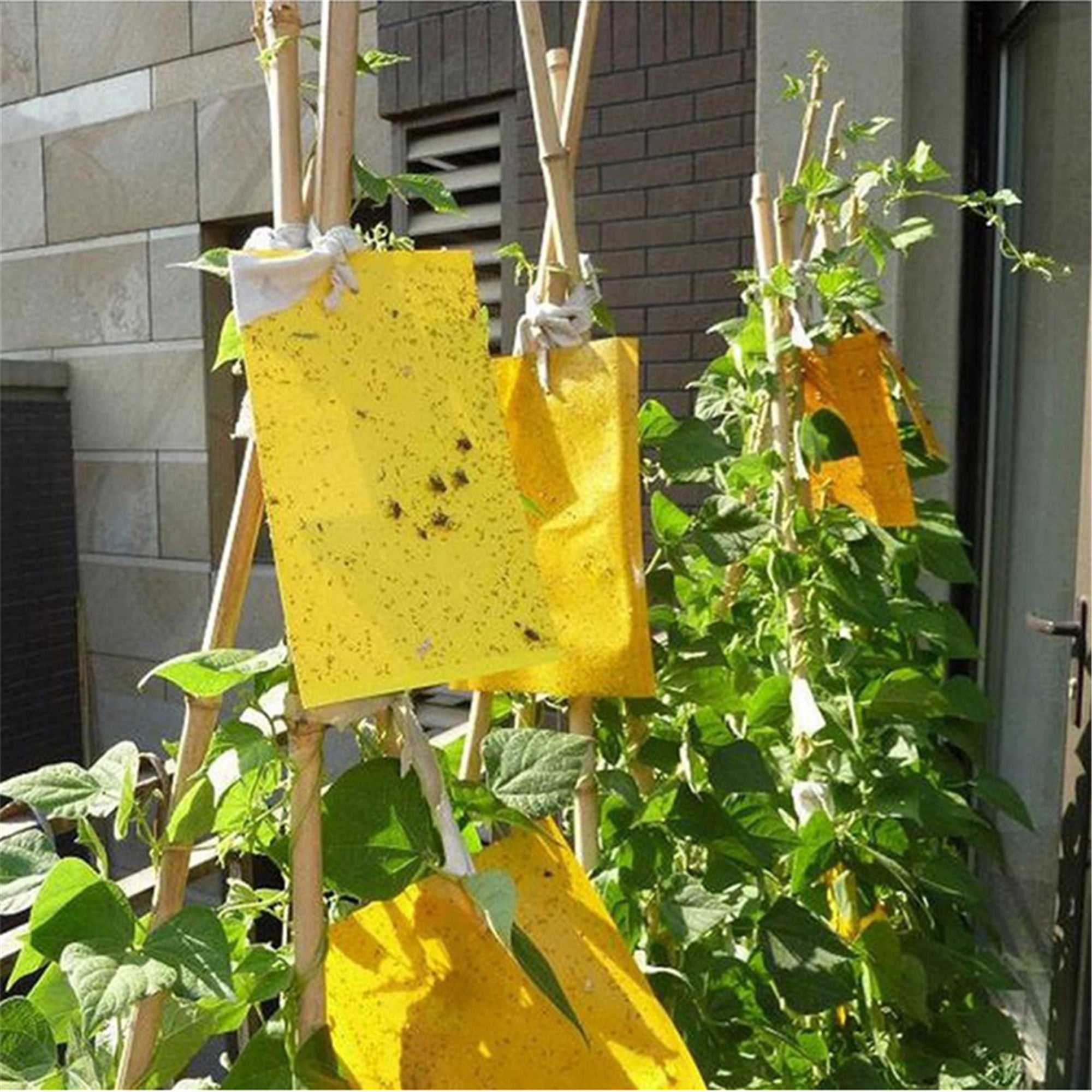 Trapro Yellow Dual-Sided Sticky Fly Traps for Plant Insect Like Aphids, Fungus