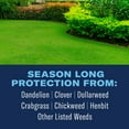 thumbnail image 2 of BioAdvanced Season Long Lawn Weed Killer + Preventer for Southern Lawns 10 lb granule bag, 4,000 SQ FT, 2 of 6