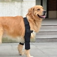 thumbnail image 2 of Dog Elbow Protector Pads, Elbow Support Wrap Knee Brace for Dogs with ACL, Treat, 2 of 5