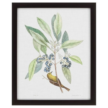 Paragon Wall Decor - Paragon Decor Studies in Nature IV Framed Wall Art