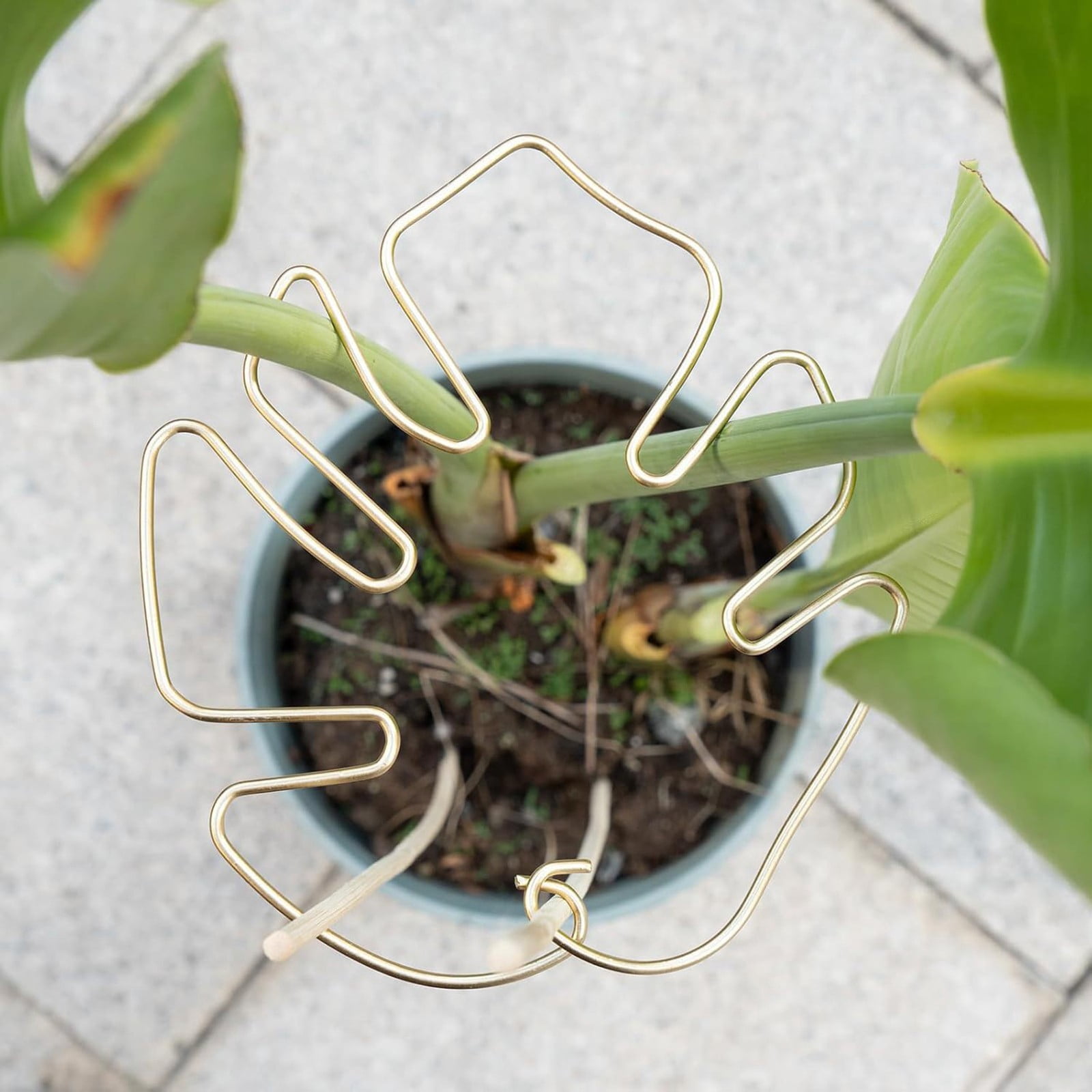 1Pcs Monstera Plant Support, Plant Stem Supports for Indoor Plants, Stable Plant Support Stakes for Indoor Plant, Uniquely Leaf Shaped Plant Support for Thriving Growth Indoor Climbing Plant