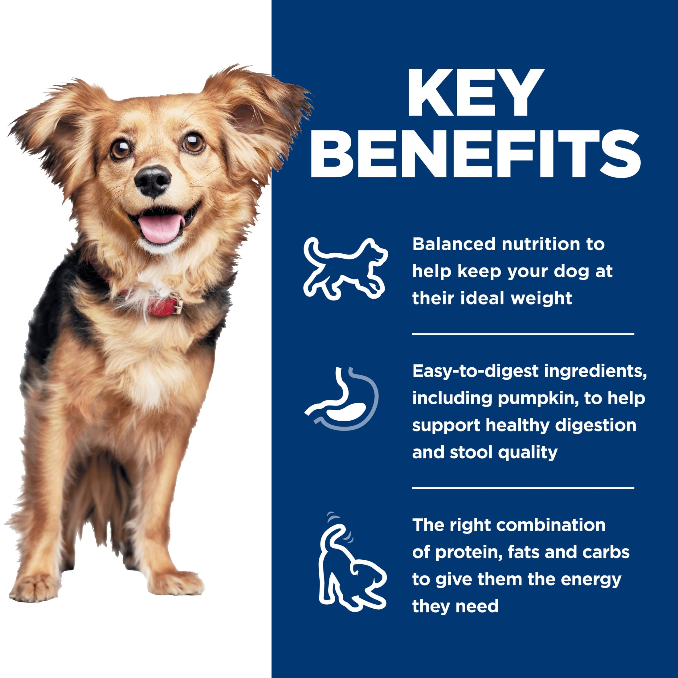 Hill's Science Diet Perfect Digestion Small & Mini Chicken & Veg Wet Dog Food, 5.8oz Can 24pk