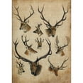 thumbnail image 3 of Butler, John 11x14 Black Modern Framed Museum Art Print Titled - American Trophy II, 3 of 5