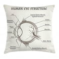 thumbnail image 1 of Biology Throw Pillow Cushion Cover, Structure of Human Eye Anatomy Iris Pupil Lens Macula Aqueous Humour, Decorative Square Accent Pillow Case, 18" X 18", Eggshell Brown and Black, by Ambesonne, 1 of 2