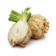 thumbnail image 4 of 500 Seeds GIANT PRAGUE CELERIAC Apium Graveolens Rapaceum Vegetable Seeds, 4 of 9