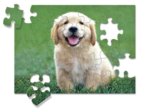 melissa and doug golden retriever