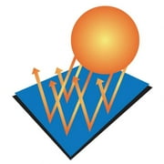 Doheny's Pool Winter Covers for In-Ground Pools 16' x 32' Economy 4 Yr.