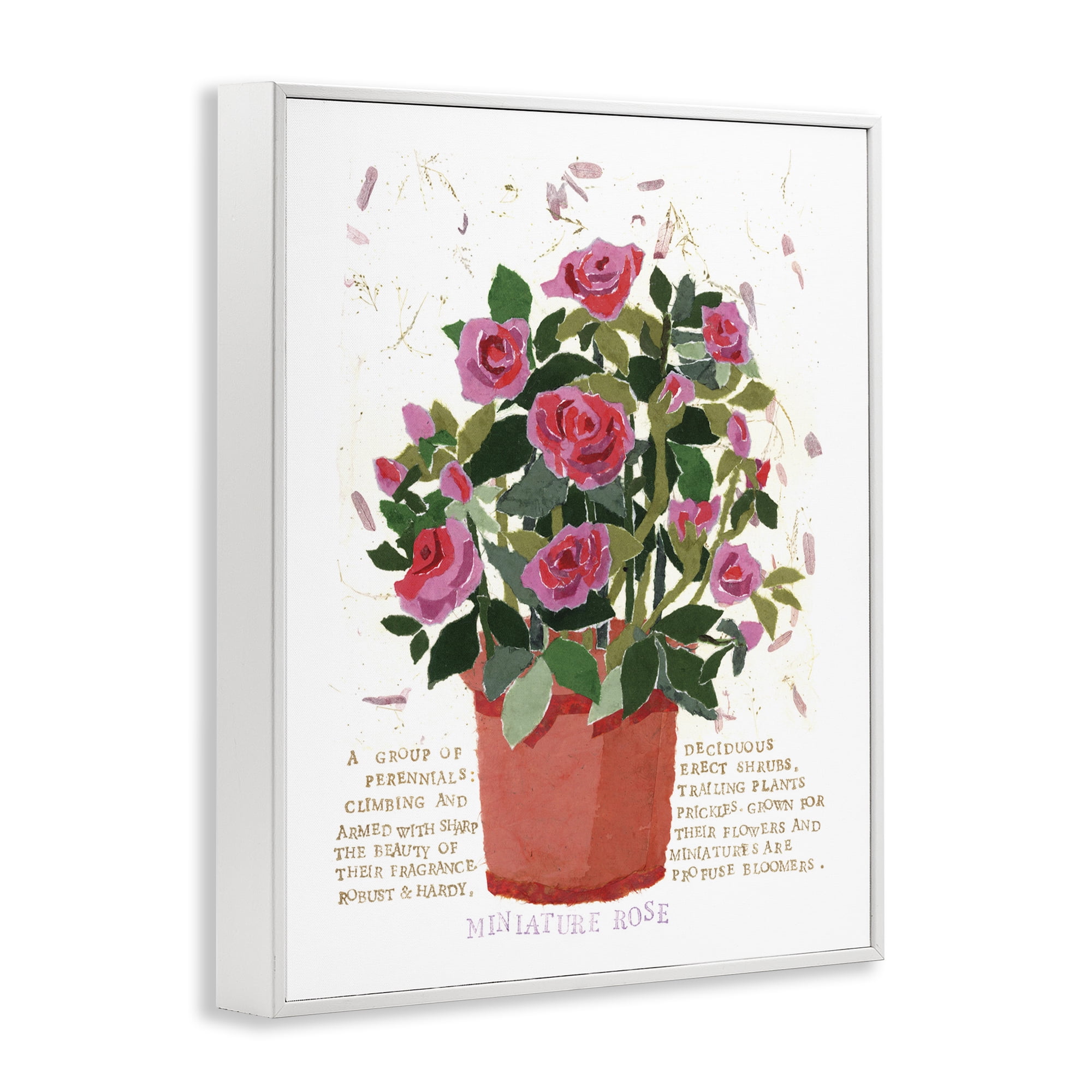 Stupell Industries Mini Roses Bouquet Botanical & Floral Painting White Framed Art Print Wall Art, 24 x 30