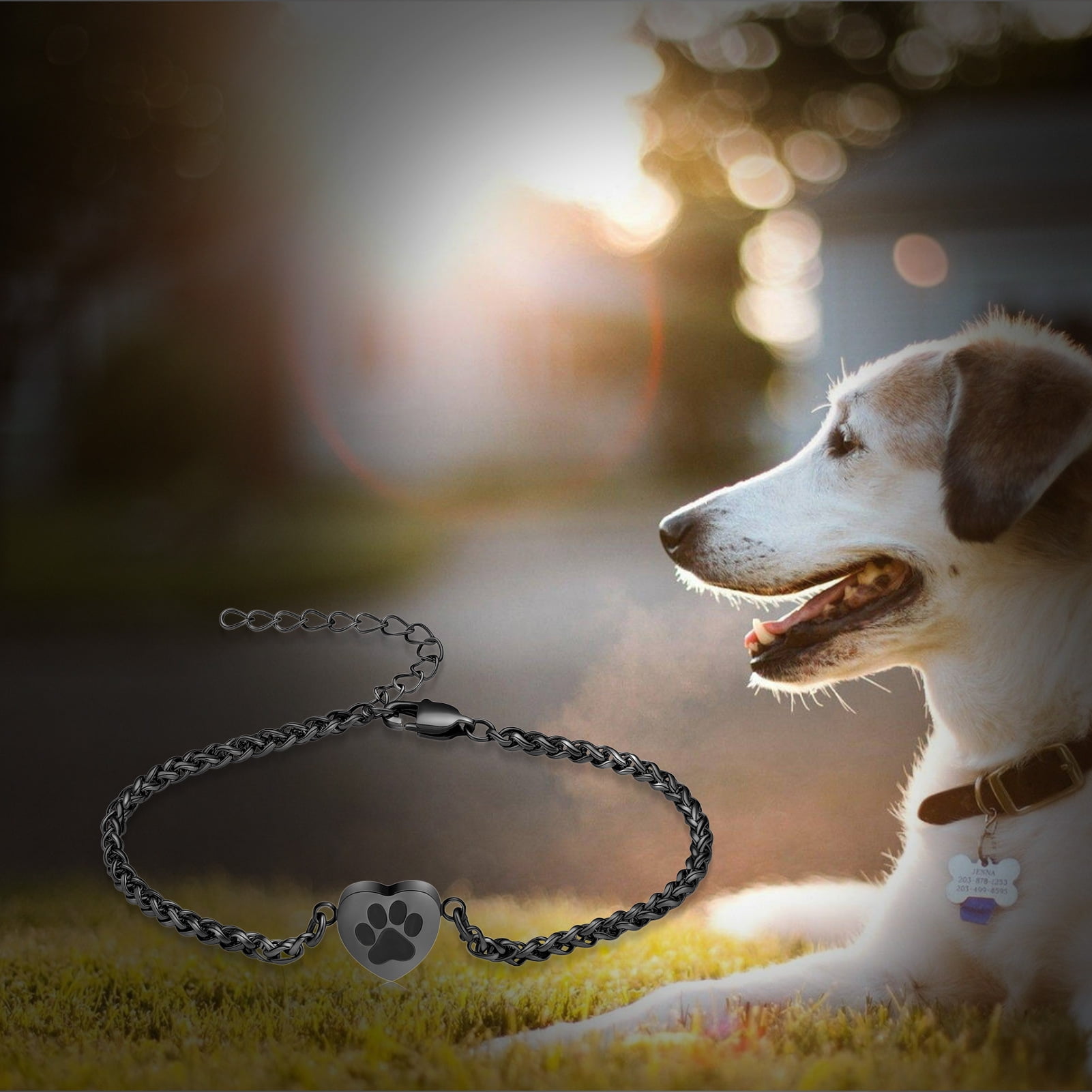Dog Paw Cremation Bracelet - Braided Leather Urn Jewelry For Pet Ashes Keepsake Memorial
