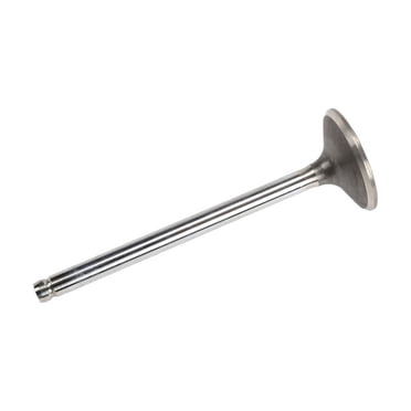 GM 12612427 Engine Exhaust Valve