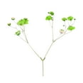 thumbnail image 2 of 12Pcs Pressed Dried Flowers for DIY Arts Crafts Resin Jewelry Making Accessory, 2 of 7