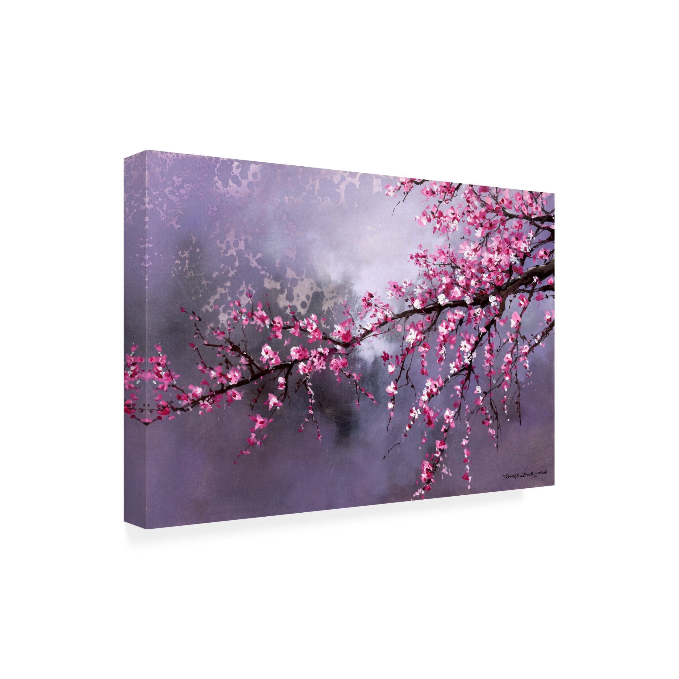 Canvas Wall Art - Thomas Leung 'Winter Plum Blossom' Wall Art for Living Room, Bedroom, or Office Décor by Trademark Fine Art - 32 x 22 Inches