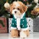 thumbnail image 1 of Ropa para Perros Pequeños, Otoño E Invierno, Camiseta para Cachorros, Poliéster Rojo y Verde, Pajarita, Atuendo Festivo Informal para Perros Salchicha, Chihuahua, Caniche, Taza de Té | Ropa Transpira, 1 of 6