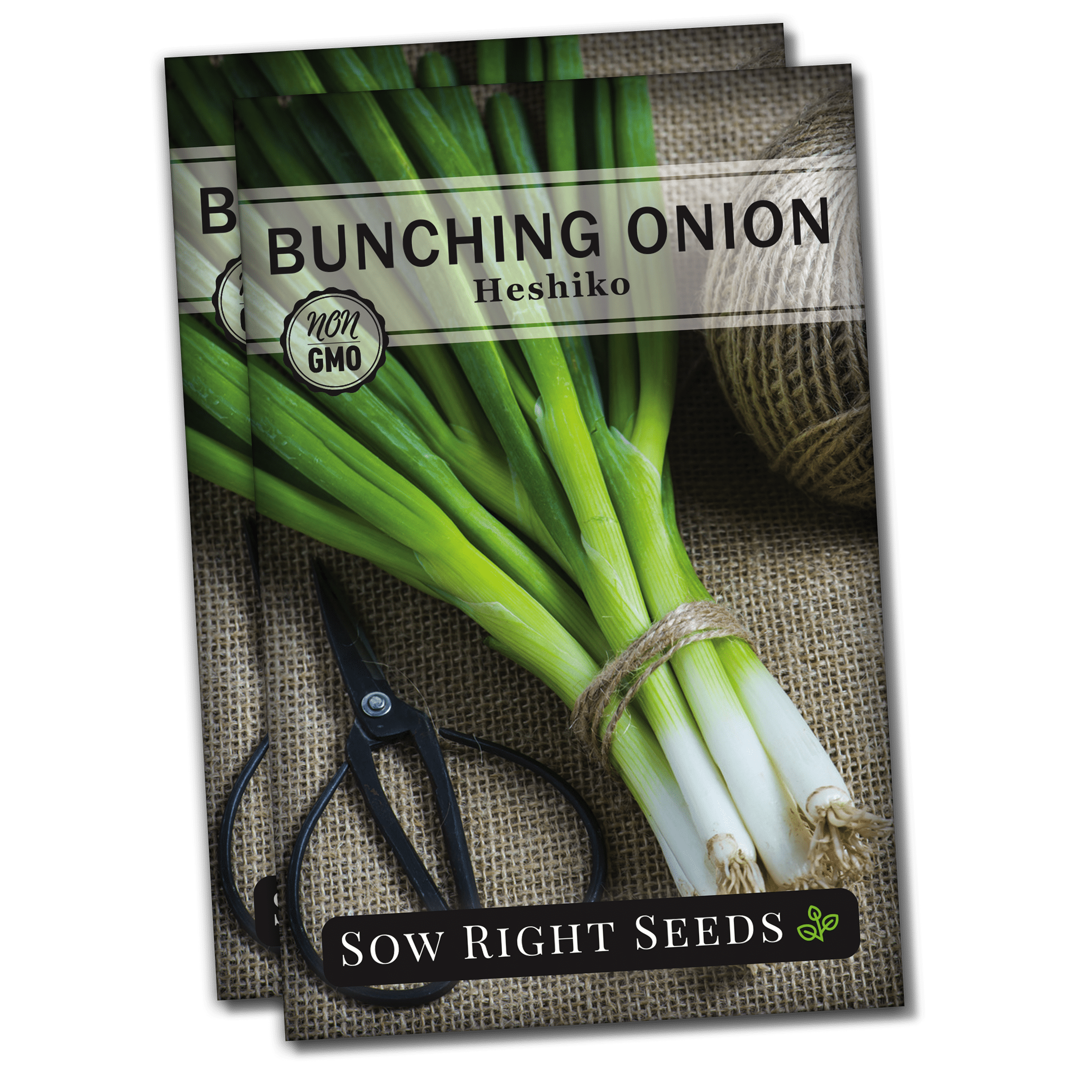 Heshiko Japanese Bunching Onion Seeds Non GMO Heirloom Varieties for