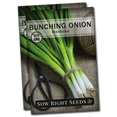 thumbnail image 2 of 600 Organic Non-GMO Tokyo Long Bunching Green Onion Seeds - By Seeds Of Tomorrow (with Bonus) 2 of 6