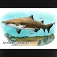thumbnail image 3 of CafePress - Sand Tiger Shark Women's Dark Pajamas - Women's Short Sleeve Print T-Shirt and Pants Dark Cotton Pajama Set, 3 of 7