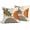 Burnt Orange, variant on Nautical Coastal Throw Pillow Covers 20x20 Set of 2 Coral Seashell Starfish Seahorse Beach Decorative Throw Pillows Summer Ocean Pillowcase Cotton Square Cushion Cover Decor for Home Couch Bed Soft