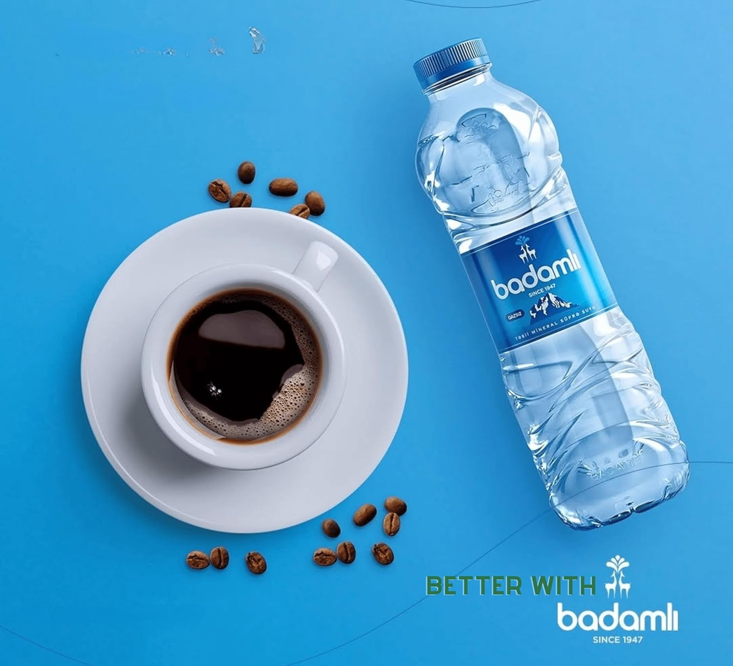 Badamlı Natural Spring Water pH 7.5, 16.9 fl oz (500ml), Daily Hydration, Natural Still Spring Water, Pack of 20