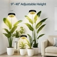 thumbnail image 4 of Halo Grow Lights for Indoor Plant, 40'' Height Adjustable Plant Grow Lights with Fan, Full  Led Plant Lights for Indoor Growing with Timer and 3 Levels Dimmable for Small/Medium Plants,2 Packs, 4 of 7