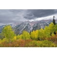 thumbnail image 2 of Garber, Howie 24x17 Black Ornate Wood Framed with Double Matting Museum Art Print Titled - Fall Foliage in Little Cottonwood Canyon, Red Pine Trail, Wasatch-Cache National Forest, Utah., 2 of 4