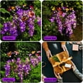 thumbnail image 5 of 2 Pack Solar Garden Lights, Each 4 Wisteria Flowers and 3 Butterfly lED Lights,Swaying With The Wind,Solar Outdoor Lights,Courtyard Channel Decoration, 5 of 7