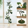 thumbnail image 5 of Rubber Tree 7FT Artificial Tree in White Planter Pot,Faux Plants Indoor Faux Floor Plant Artificial Plants with 8 Pcs Magnolia Flowers for Home Decor, Artificial Fiddle Leaf Fig Tree for Office, 5 of 6