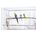 thumbnail image 7 of Prevue Pet Products Twisting Sticks Bird Toy with All Natural Coconut Fibers, 7 of 7